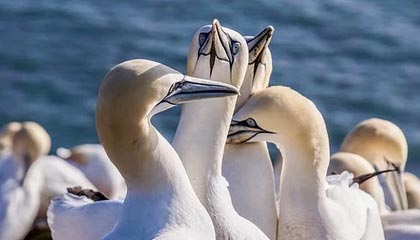 开云品牌-【比赛总结】胜负背后隐藏的战术智慧，比赛有胜负的下一句